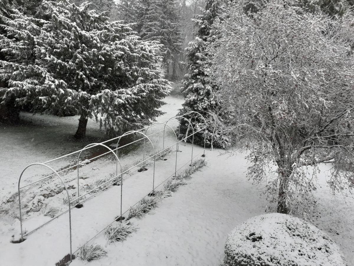 לינה וארוחת בוקר Manoir De Camblain מראה חיצוני תמונה